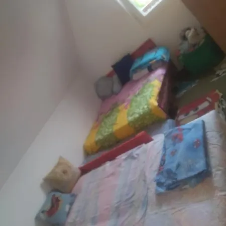 Bor, Savaca - Porodicna Vikendica Za Izdavanje Bor