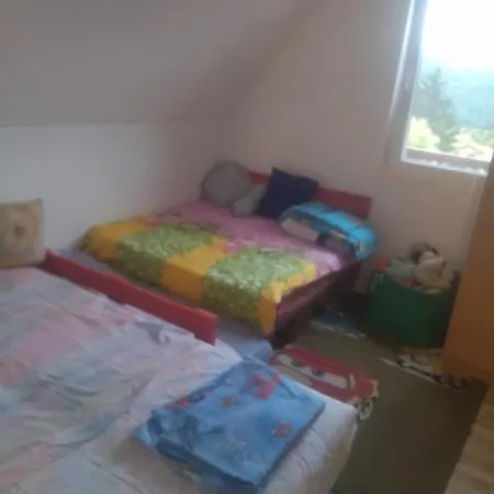 Holiday home Bor, Savaca - Porodicna Vikendica Za Izdavanje Bor